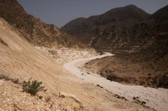 Studiosus - Oman - die umfassende Reise