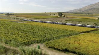 Meiers Weltreisen - Blue Train - Luxus auf Schienen (Kapstadt-Pretoria)