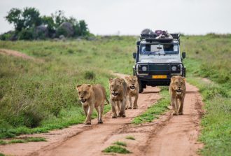SKR Reisen - Kenia: Impressionen