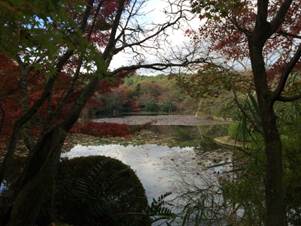 Zen-Garten in Kyoto