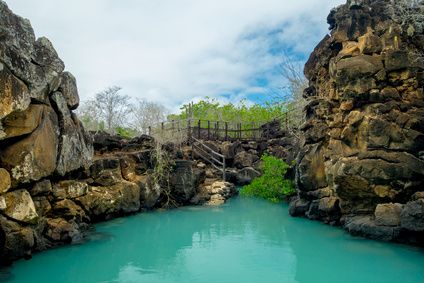 Galapagos