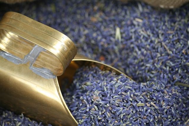 Lavendel