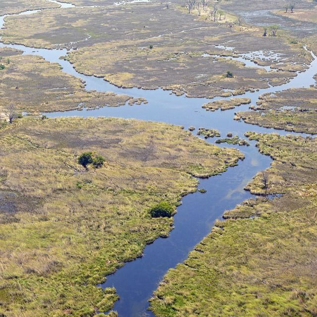 Okavango Delta