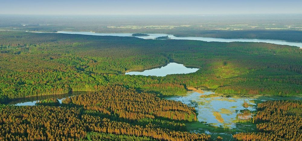 Lernidee Erlebnisreisen - Masuren, Marienburg und Danzig Per E-Bike von der Masurischen Seenplatte zur Ostsee (2025)