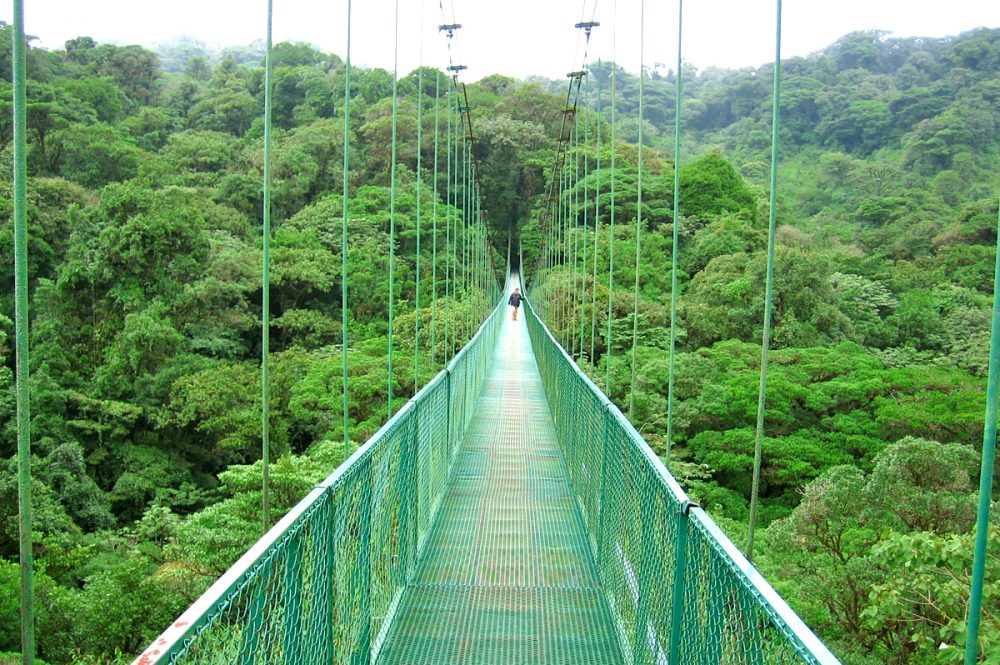Gebeco - Pura Vida - Naturparadies Costa Rica