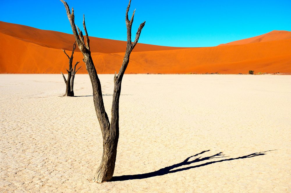 Gebeco - Entdeckungsreise Namibia
