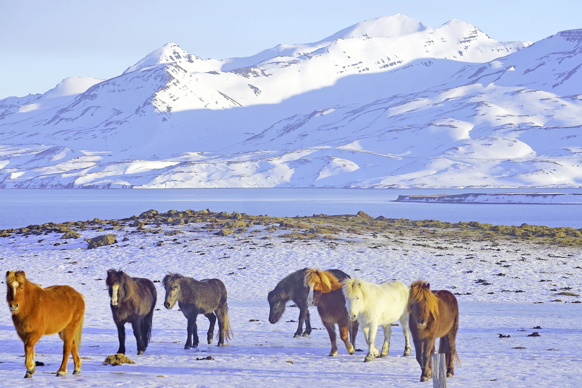 Wolters Rundreisen - Busreise Naturschauspiele in Islands Norden