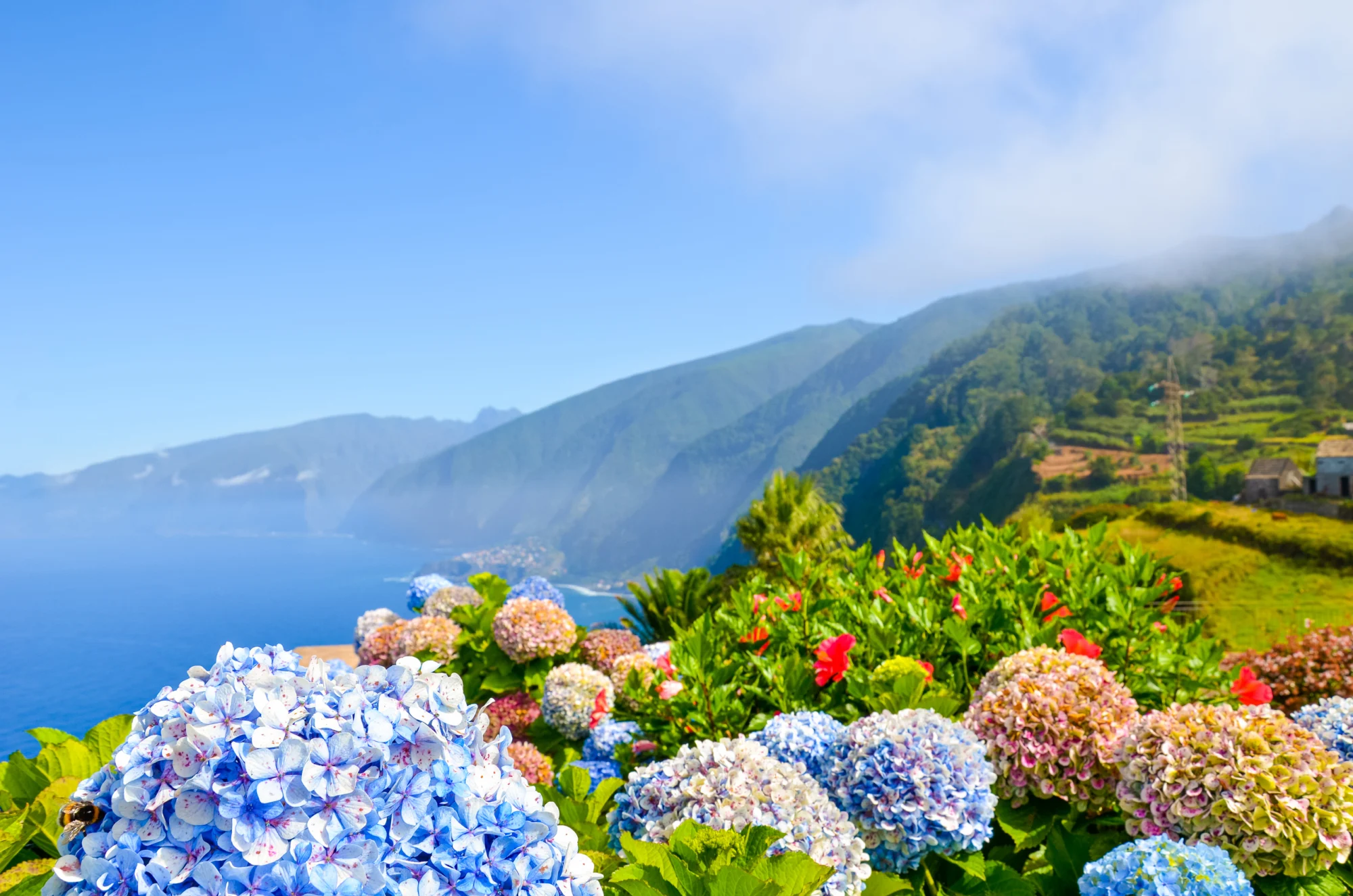 Wolters Rundreisen - Busreise Madeira - Perle des Atlantiks