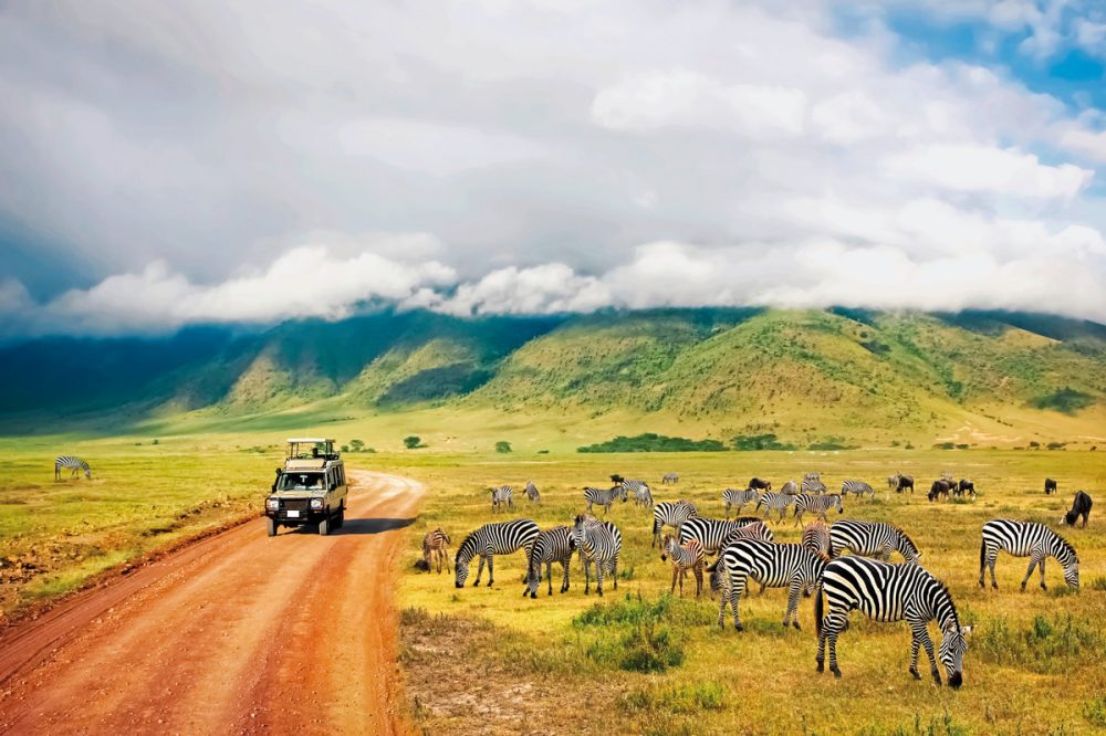 Meiers Weltreisen - Abenteuer Tansania (Privatreise)
