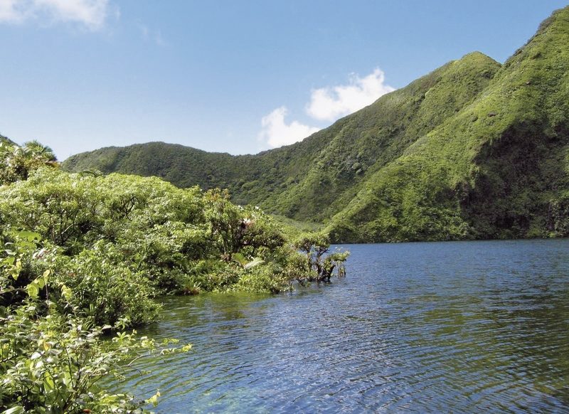 Meiers Weltreisen - Naturerlebnis Dominica