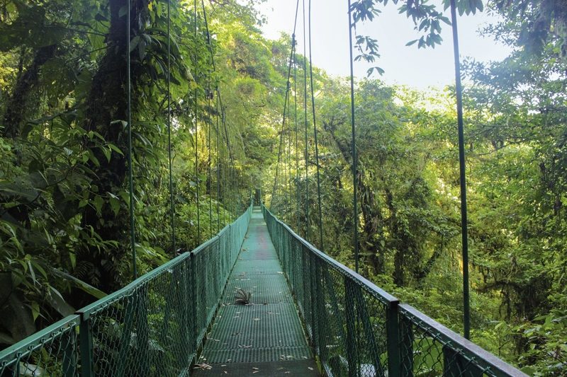 Dertour - Geheimnisvolles Costa Rica: Nebelwald und Rote Aras