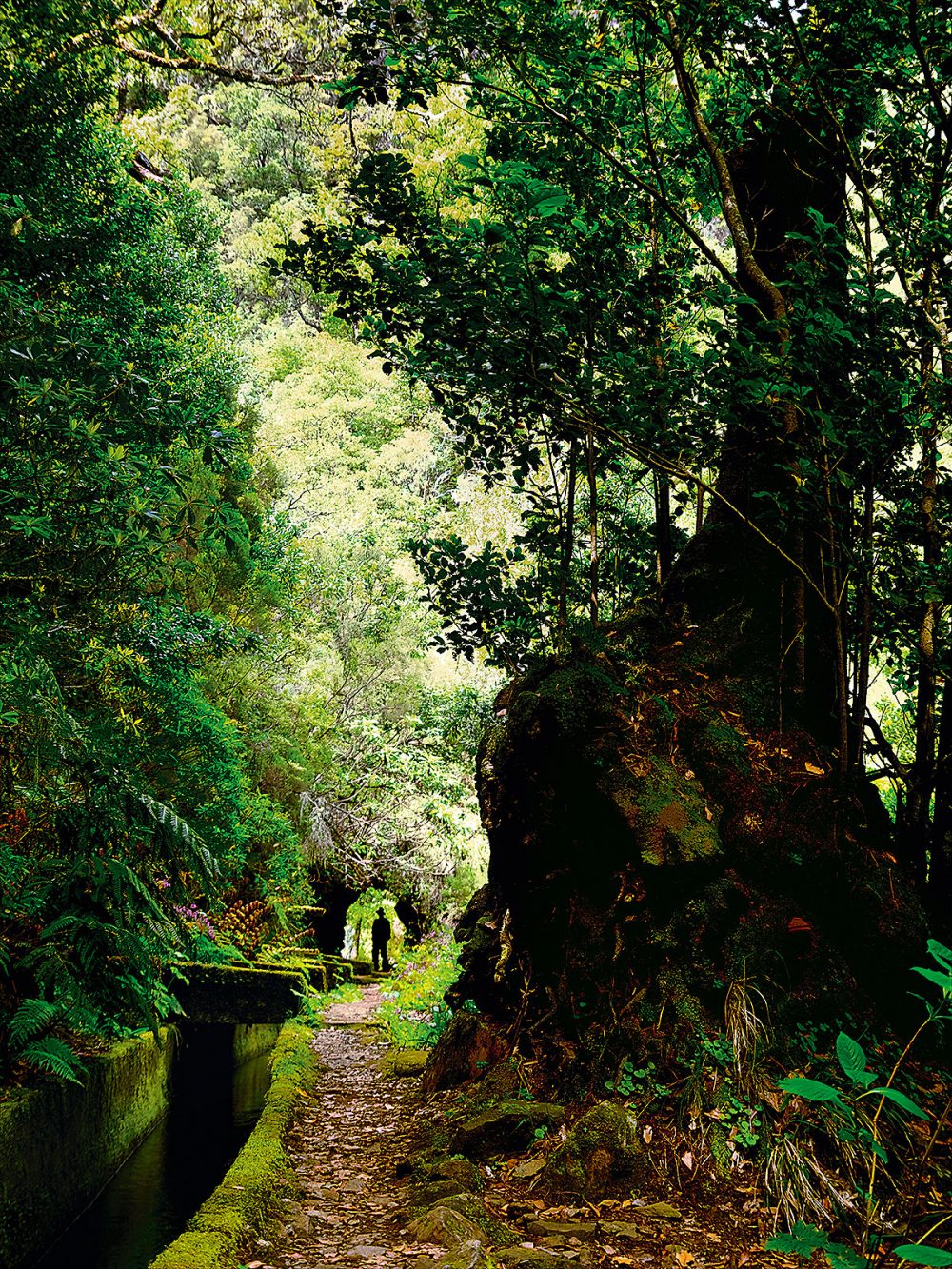 Olimar Reisen - Madeira: das Naturparadies im Atlantischen Ozean