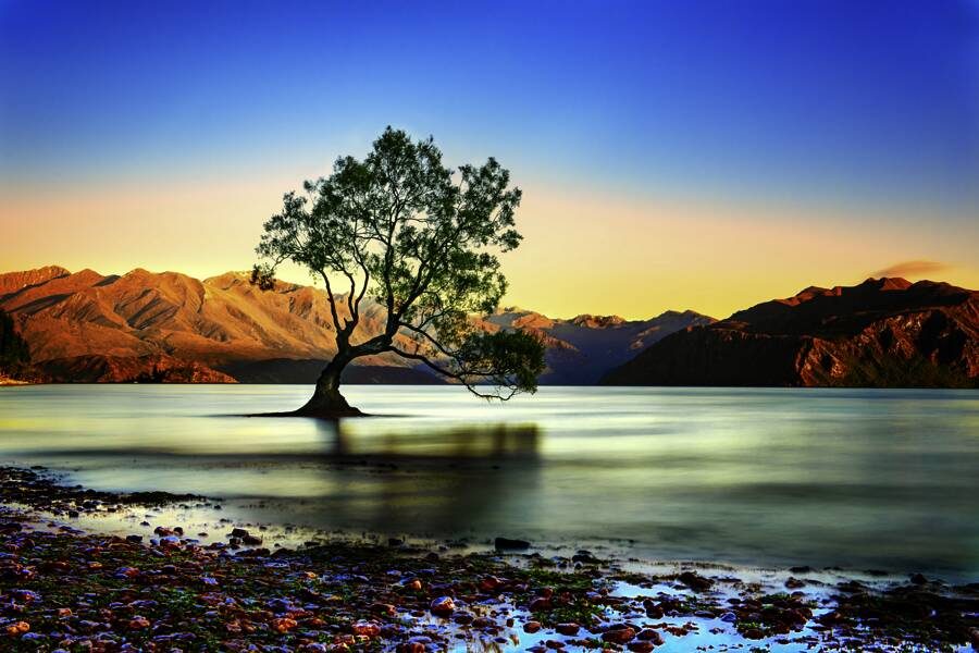 Studiosus - Neuseeland - Natur erwandern