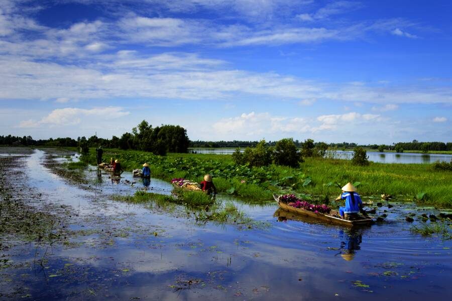 Studiosus - Vietnam - umfassend
