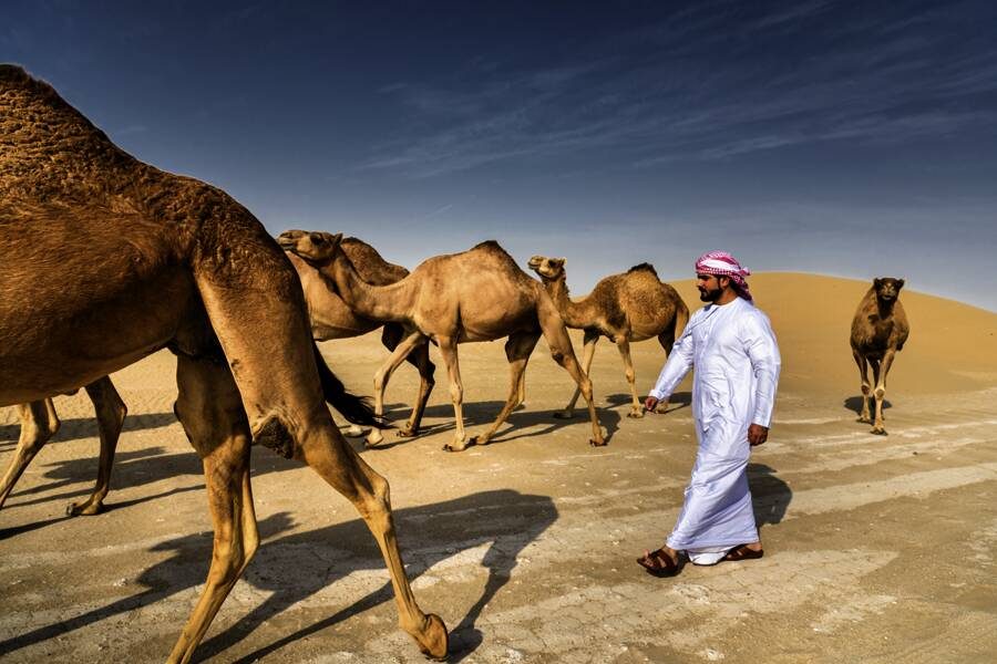 Studiosus - Oman - die umfassende Reise