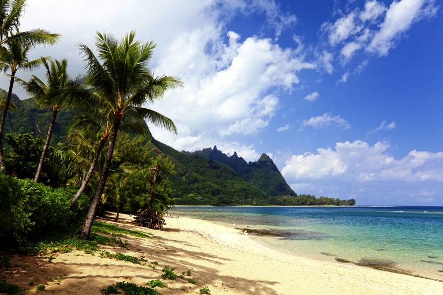 Studiosus - Hawaii - Trauminseln im Pazifik