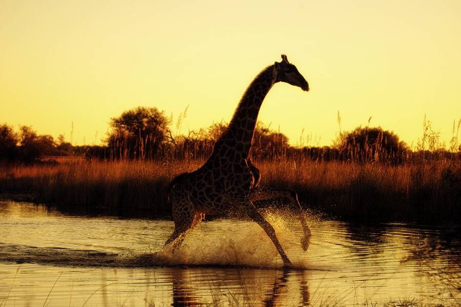 Studiosus - Namibia – Botswana - Wunder der Natur
