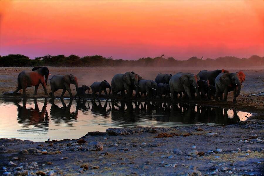 Studiosus - Namibia - Afrika-Feeling