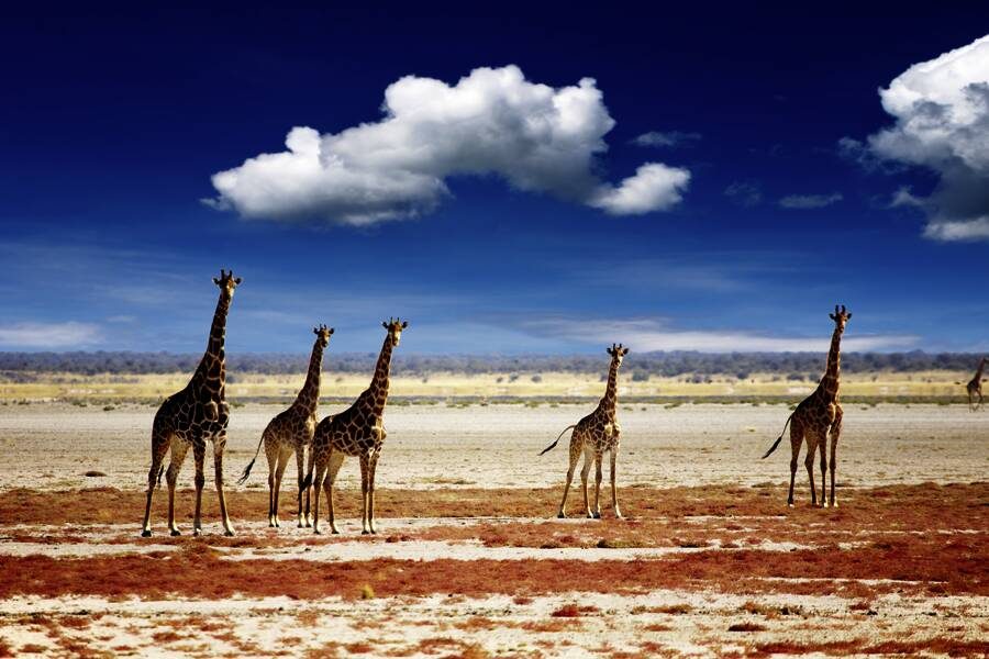 Marco Polo Reisen - Namibia - Highlights