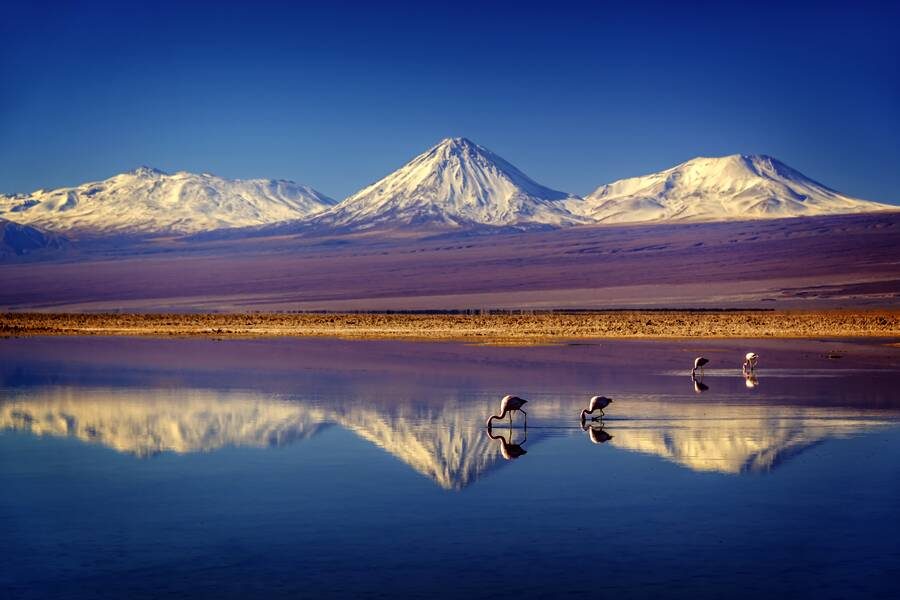 Studiosus - Chile – Bolivien – Peru - Naturwunder der Anden