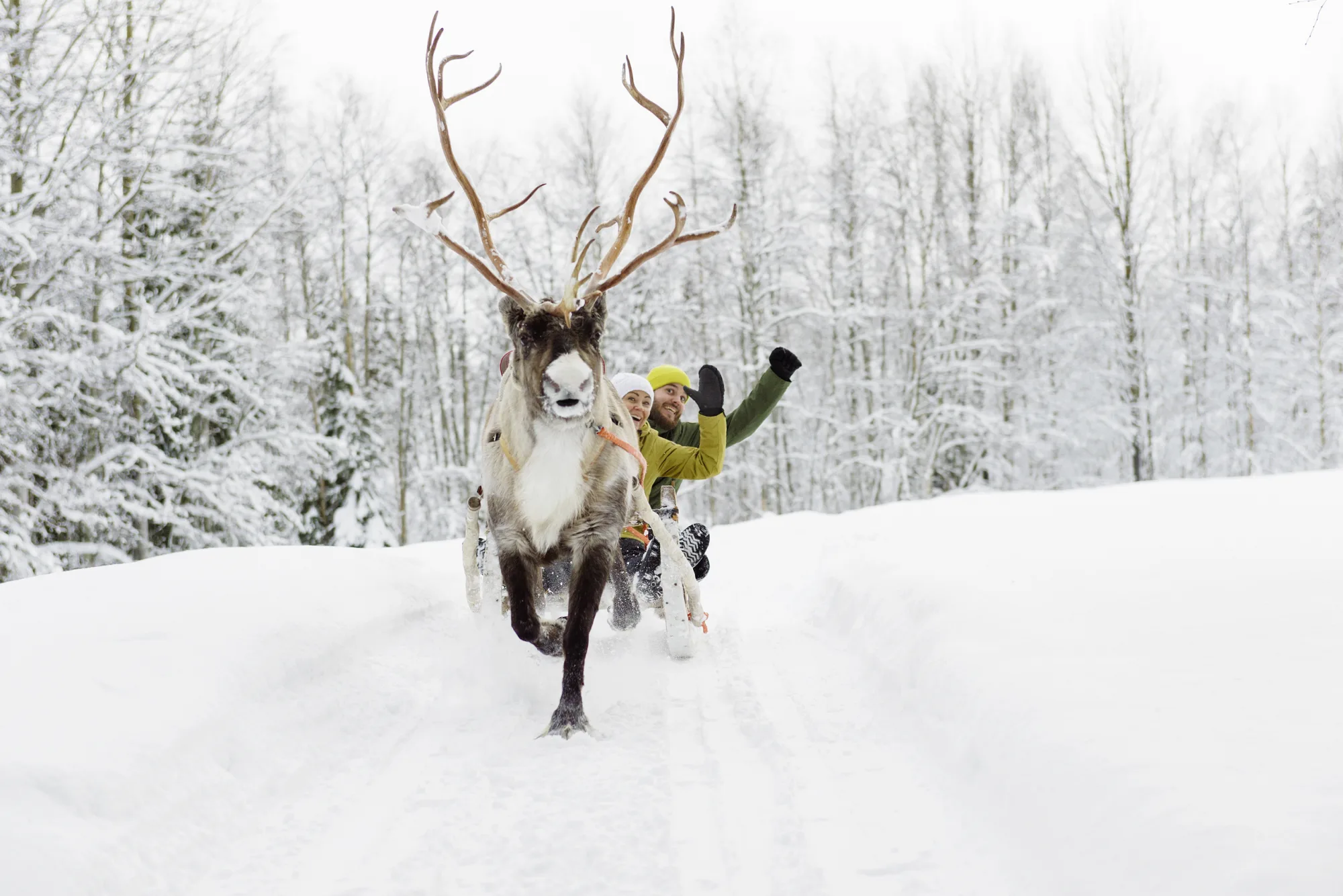 Wolters Rundreisen - Standortreise Ferienhaus-Urlaub in Lappland inkl. Mietwagen