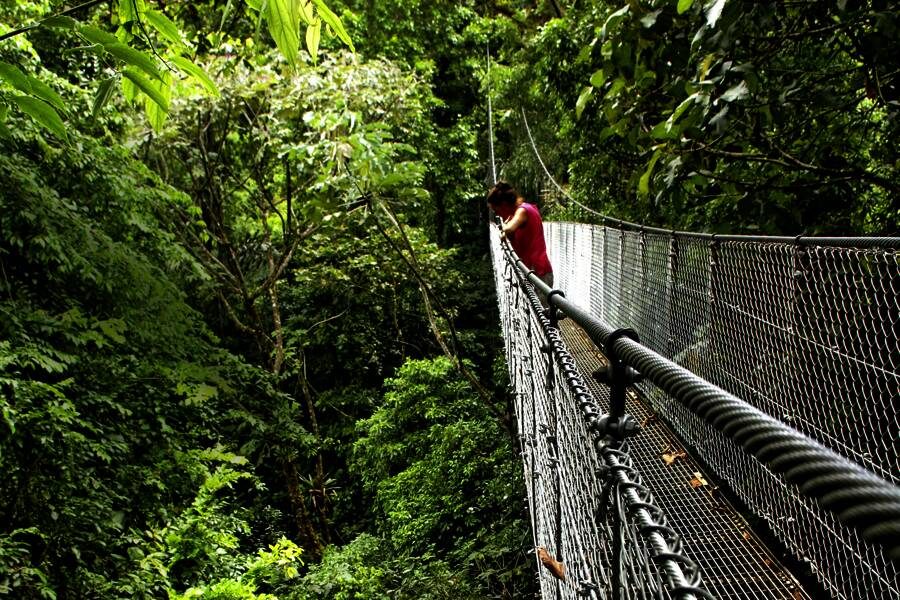 Studiosus - Costa Rica - pura vida im Land der Feuerberge