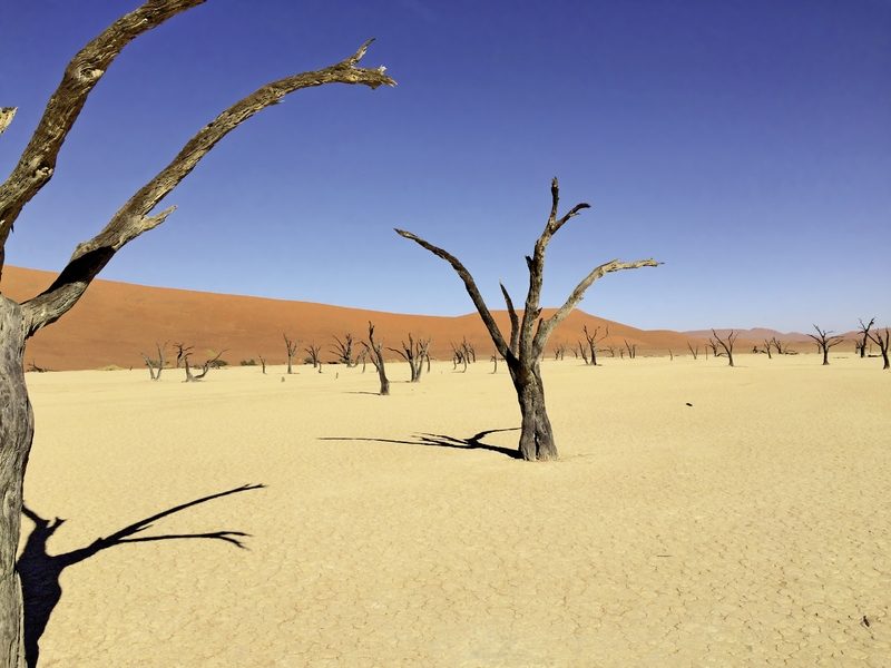 Meiers Weltreisen - Traumreise Namibia