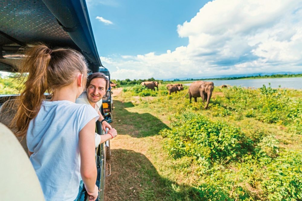 Meiers Weltreisen - Wildlife Safari
