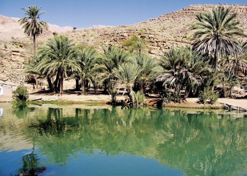 Meiers Weltreisen - Off-Road zu Festungen & Wadis mit Chauffeur