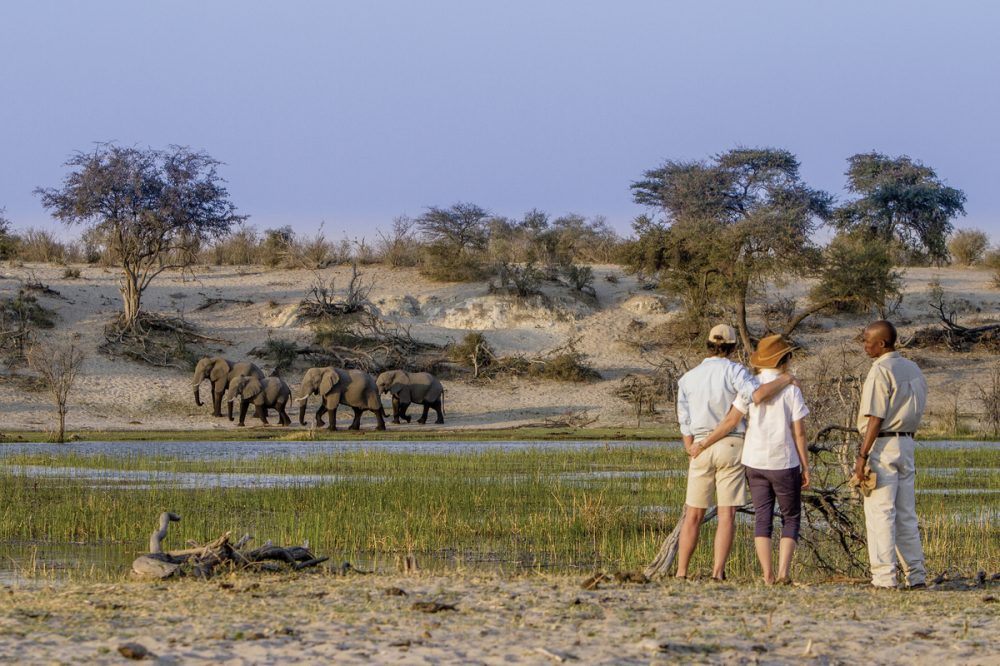 Meiers Weltreisen - Der Herzschlag Afrikas (6 Nächte ab Maun)