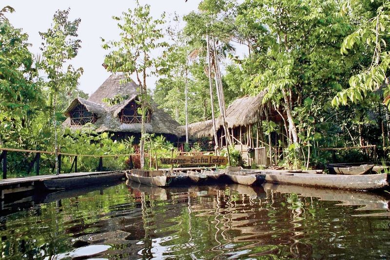 Meiers Weltreisen - Abenteuer Amazonas - Sacha Lodge (3 Nächte)