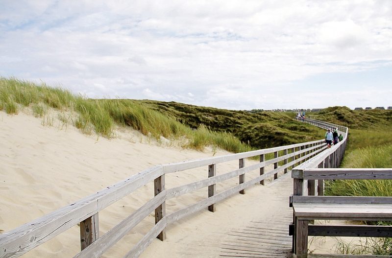 Dertour - Nordseezauber Schleswig-Holstein