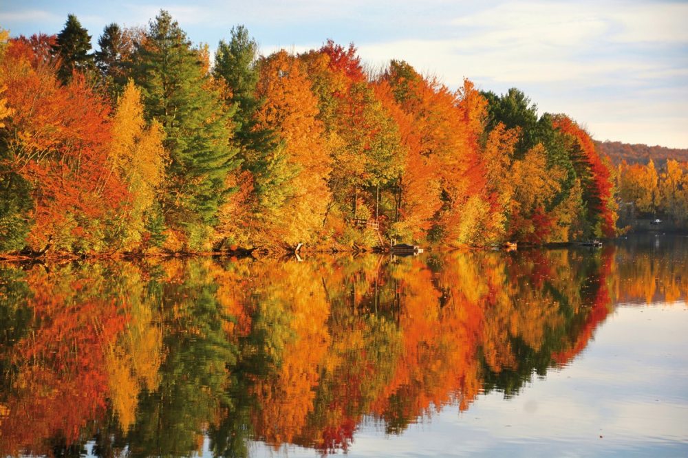 Dertour - Farbenpracht des Indian Summer (ab/bis Boston)