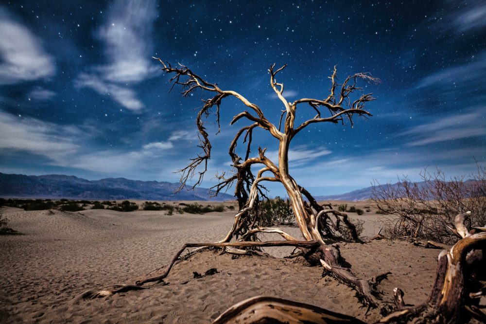 Dertour - Las Vegas & die Nationalparks