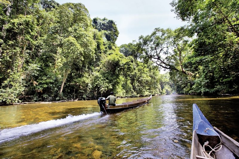 Dertour - Taman Negara (2 Nächte)