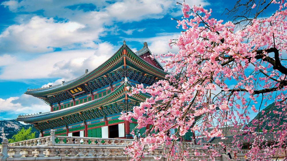 Dertour - Südkorea zum Kennenlernen