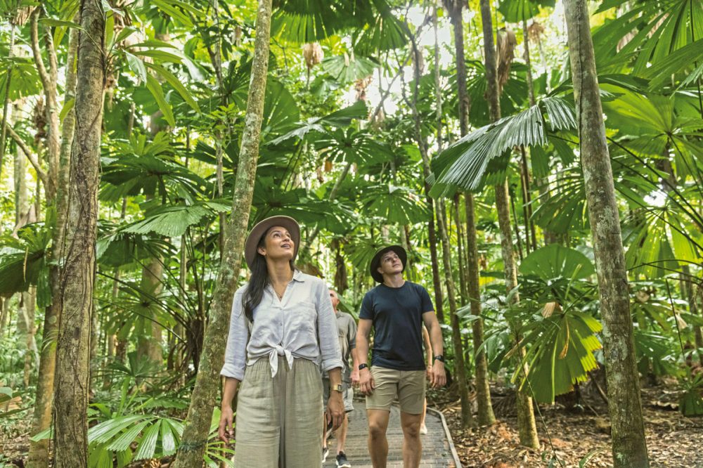 Dertour - Reef & Rainforest