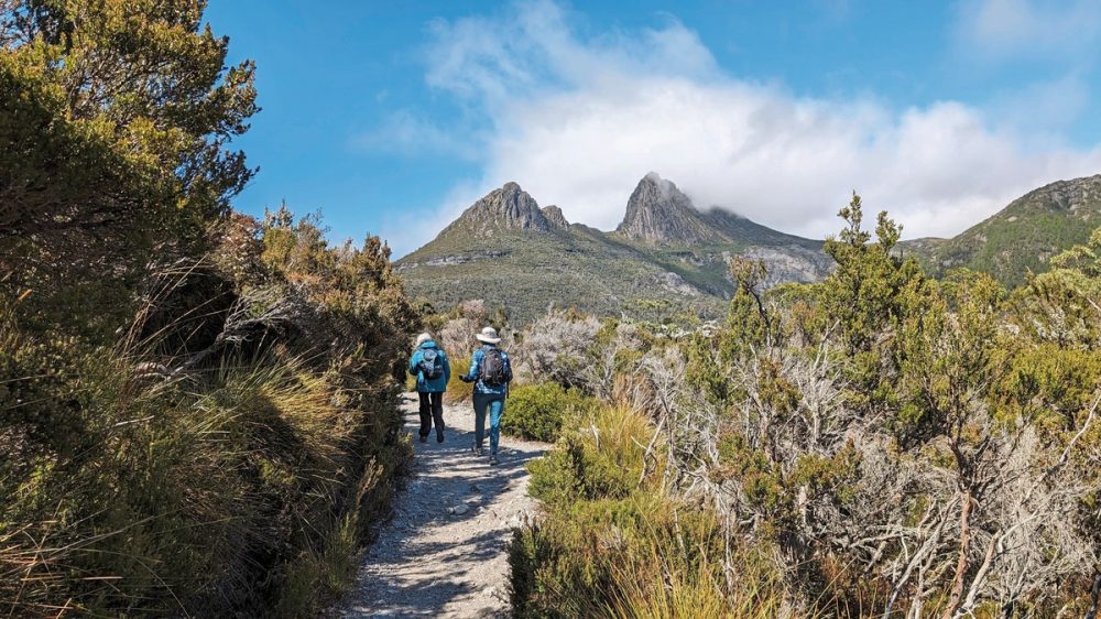 Dertour - Tasmanien aktiv erleben