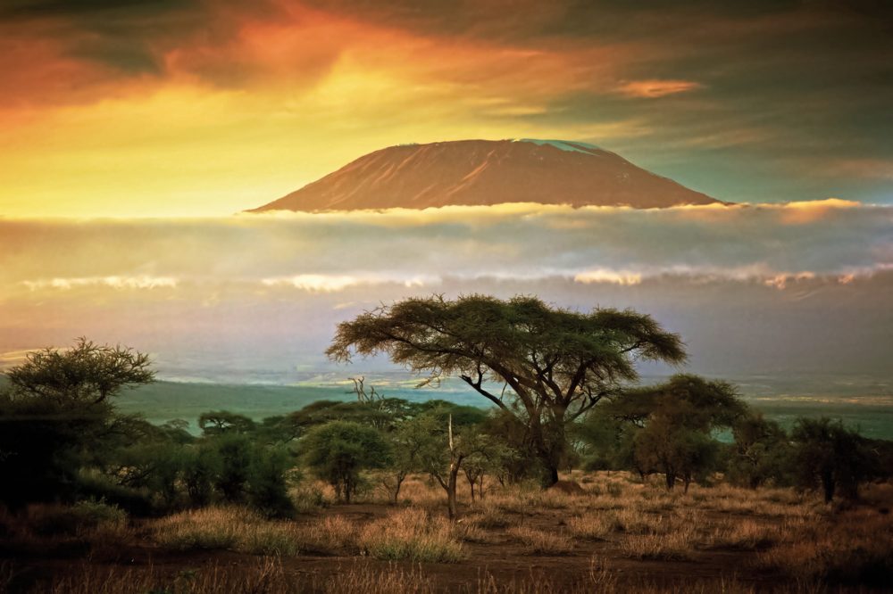 Dertour - Tsavo & Amboseli