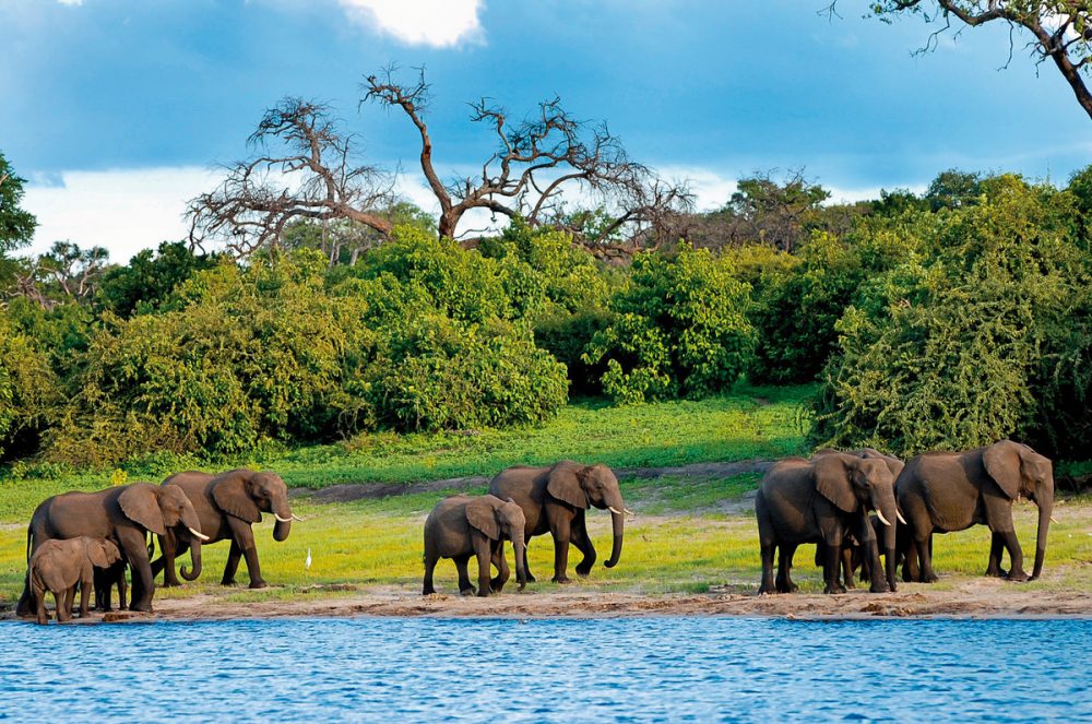 Dertour - Safariromantik - Botswana und Victoria Falls
