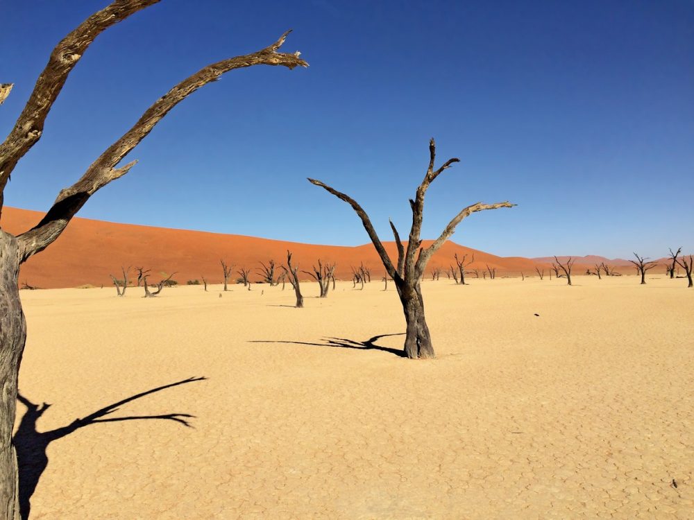 Dertour - Traumreise Namibia