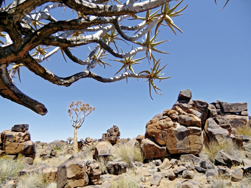 Dertour - Best of Namibia (Autoreise) (ehemals Facettenreiches Namibia für Selbstfahrer)