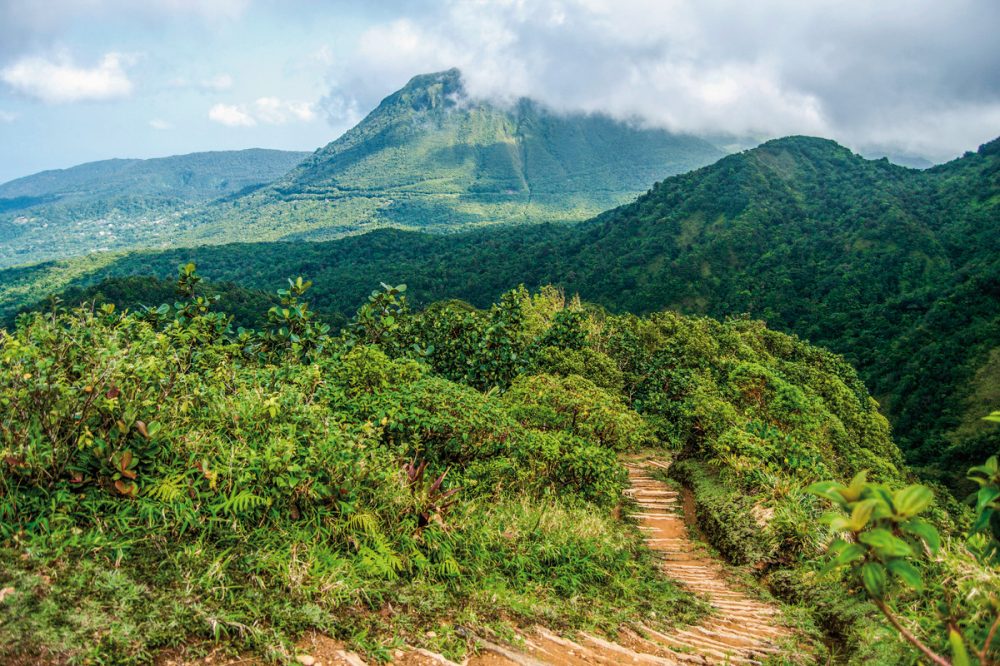 Dertour - Wandererlebnis Dominica