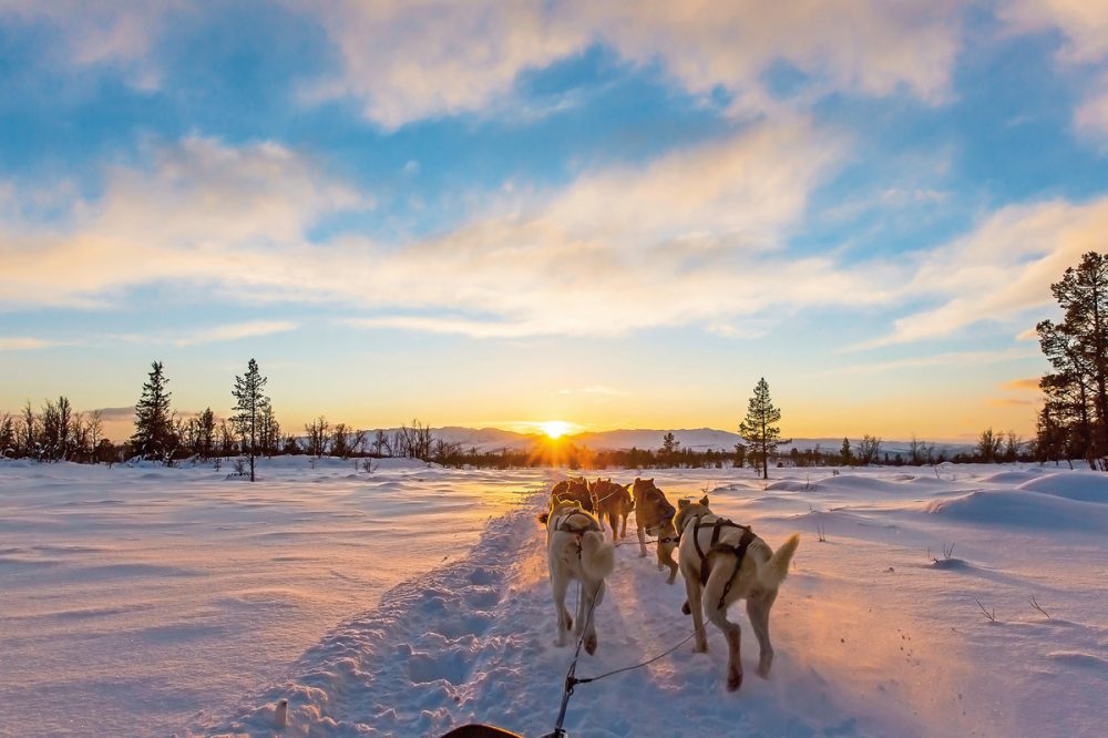Dertour - Finnische Winterwoche in der Arktis