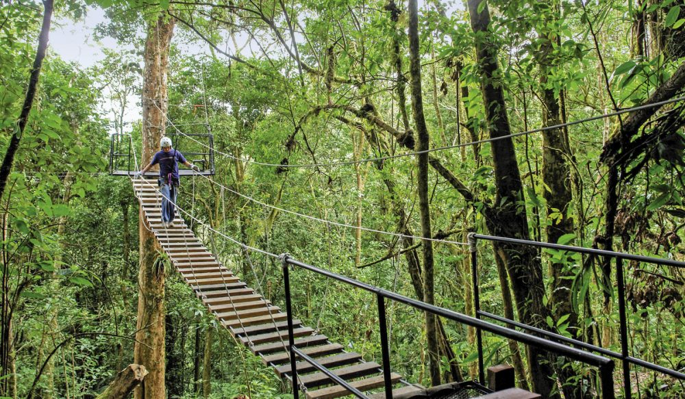 Dertour - Costa Rica - Auf der Suche nach den Faultieren