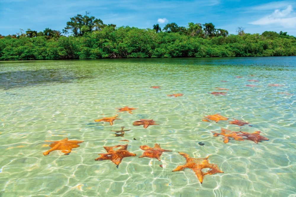Dertour - Panama auf eigene Faust inkl. Anschluss Bocas del Toro