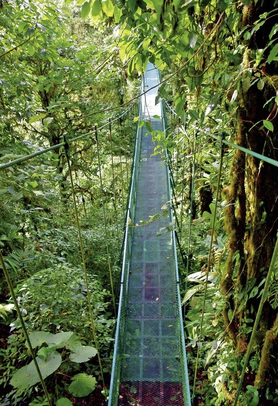 Dertour - Nebelwald Monteverde