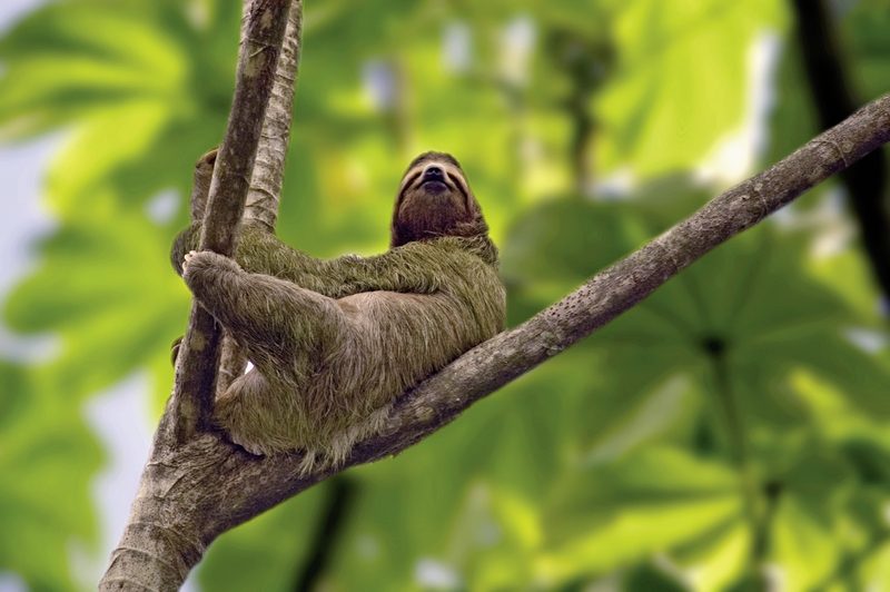 Dertour - Farbenmeer Costa Rica