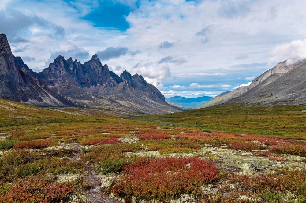 Dertour - Arktischer Ozean, Tundra & Dempster Highway (Nordroute)