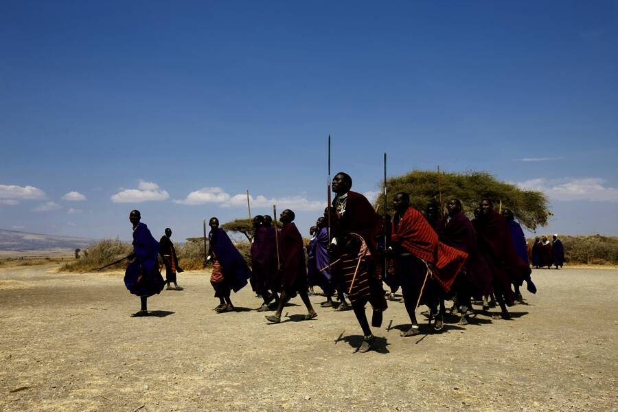 Studiosus - Kenia und Tansania - Naturparks Ostafrikas
